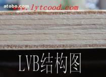 LVB木板 規格、價格與選購指南